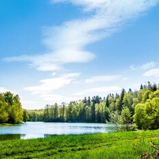 10 соток, участок - изображение 1