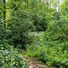 24,2 сотки, участок - изображение 2