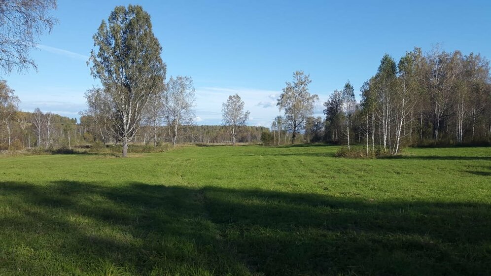 8,2 сотки, участок 3 000 000 ₽ - изображение 21