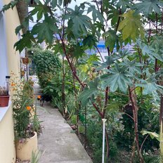 дом + 5,2 сотки, участок - изображение 5