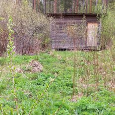 9 соток, участок - изображение 2