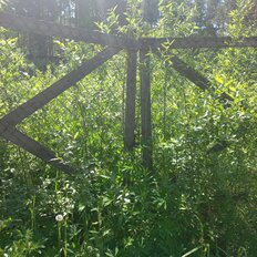 9 соток, участок - изображение 3