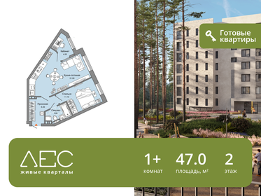 Квартира 47 м², 1-комнатная - изображение 1