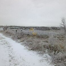 10 соток, участок - изображение 5