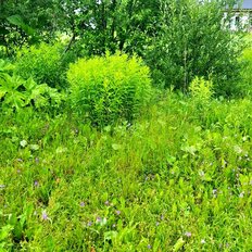 13 соток, участок - изображение 2