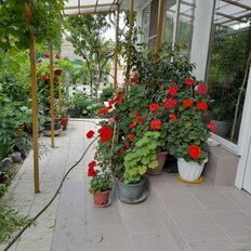 дом + 8 соток, участок - изображение 1