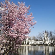 Квартира 38 м², 1-комнатная - изображение 1