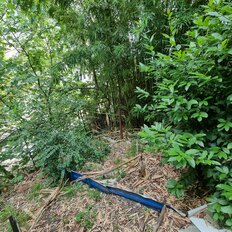 Квартира 30 м², 1-комнатная - изображение 1