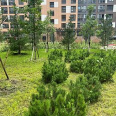 Квартира 24,3 м², студия - изображение 2