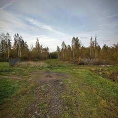 12 соток, участок - изображение 2