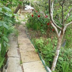 дом + 6 соток, участок - изображение 4