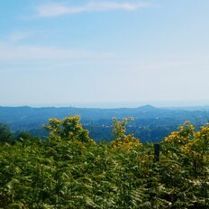 16,5 сотки, участок - изображение 2