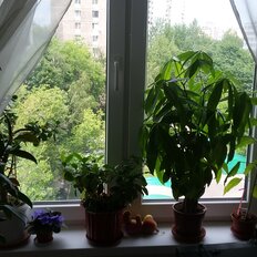32 м², комната - изображение 2