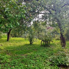 6 соток, участок - изображение 1