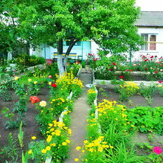 дом + 11 соток, участок - изображение 1