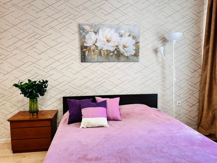 50 м², 1-комнатная квартира 1 990 ₽ в сутки - изображение 46