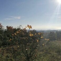 20 соток, участок - изображение 4