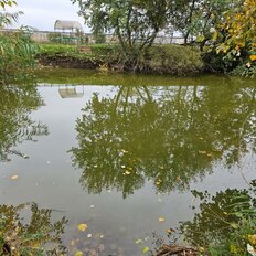 300 м², готовый бизнес - изображение 4