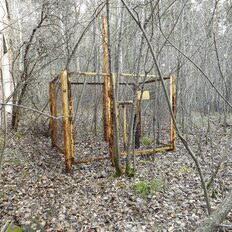 8 га, участок - изображение 5