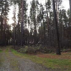 8 га, участок - изображение 2