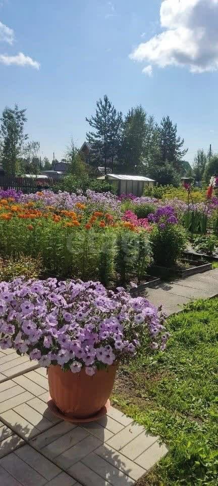 Дом 2-комн. 37 м² в территория Эжвинский — фото 18 из 27