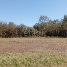 20 соток, участок - изображение 2