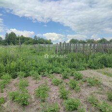 50 соток, участок - изображение 2