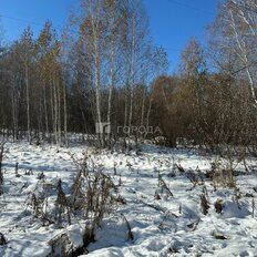 8 соток, участок - изображение 5