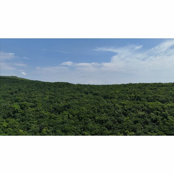 33,3 м², квартира-студия 7 433 000 ₽ - изображение 42