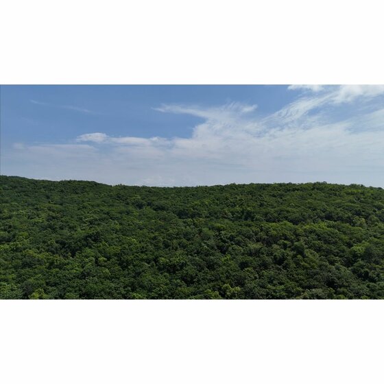 33,3 м², квартира-студия 7 433 000 ₽ - изображение 32