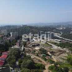 Квартира 24,1 м², студия - изображение 5