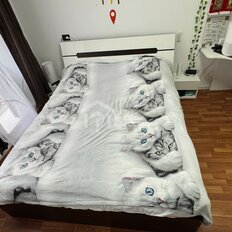 Квартира 55,9 м², 3-комнатная - изображение 1