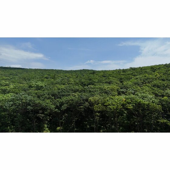 33,3 м², квартира-студия 7 433 000 ₽ - изображение 40