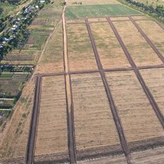 6 соток, участок - изображение 2