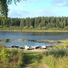 12 соток, участок - изображение 4