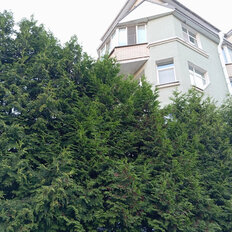 Квартира 87,5 м², 1-комнатная - изображение 1