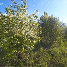 7,8 сотки, участок - изображение 4