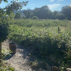 1,5 га, участок - изображение 2