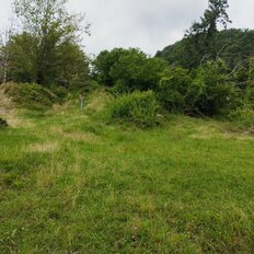 6,5 сотки, участок - изображение 4