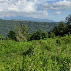 1 га, участок - изображение 1