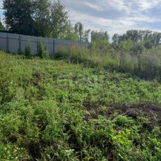 6,5 сотки, участок - изображение 4