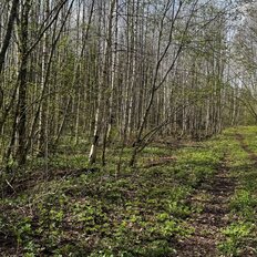 15 соток, участок - изображение 5