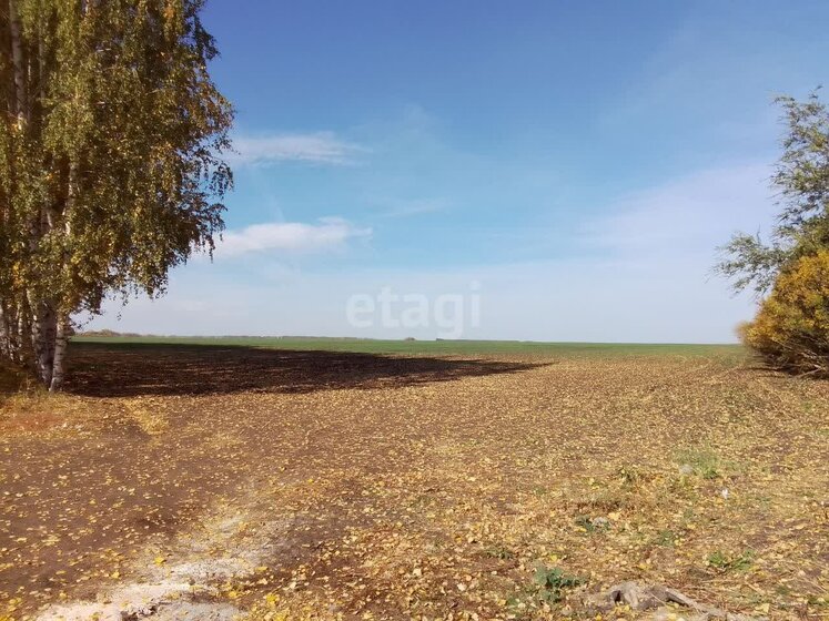 303,9 сотки, участок 859 000 ₽ - изображение 1