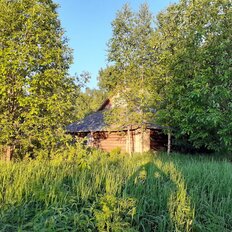 11,5 сотки, участок - изображение 3