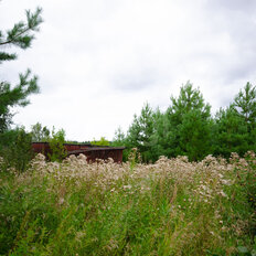 15,6 сотки, участок - изображение 3