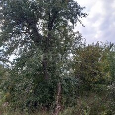 4,5 сотки, участок - изображение 4