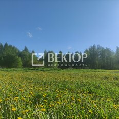9,1 сотки, участок - изображение 2