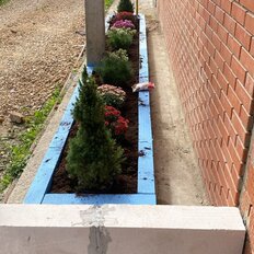 Квартира 17,5 м², студия - изображение 4