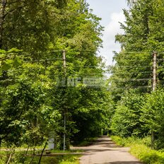 50 соток, участок - изображение 5