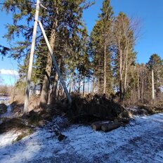 8 соток, участок - изображение 4